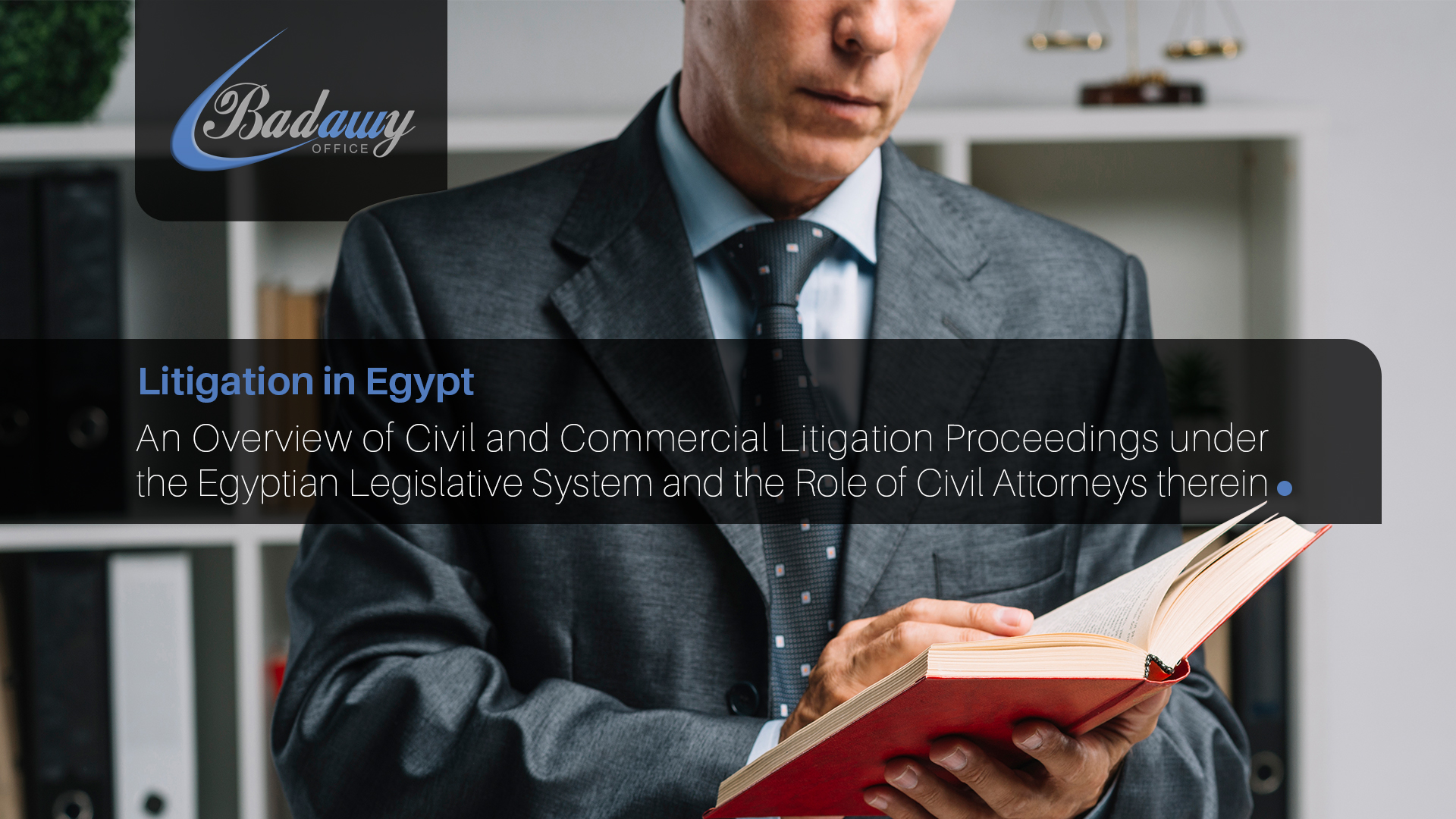 Litigation in Egypt